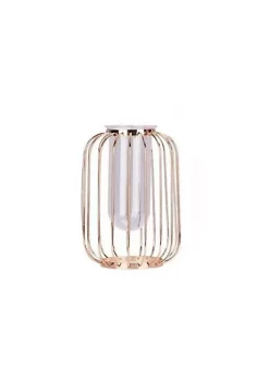 All Abundant Things Home Design Cylinder Majestic Iron Lantern Enclosed Glass Vase