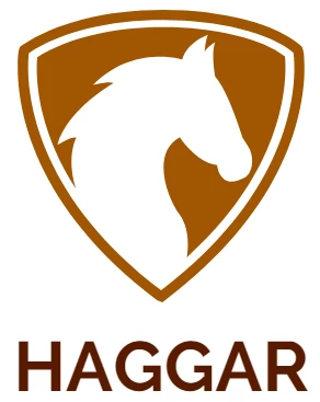 Hot Sale Haggar Store